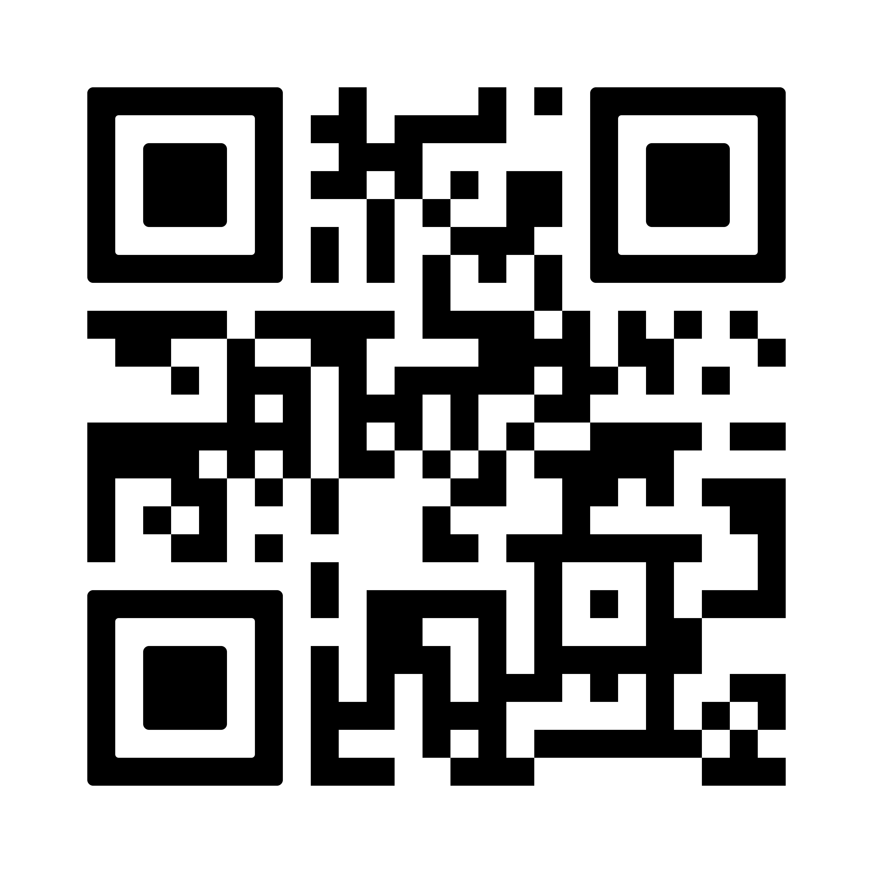 Demo Audit Portal QR